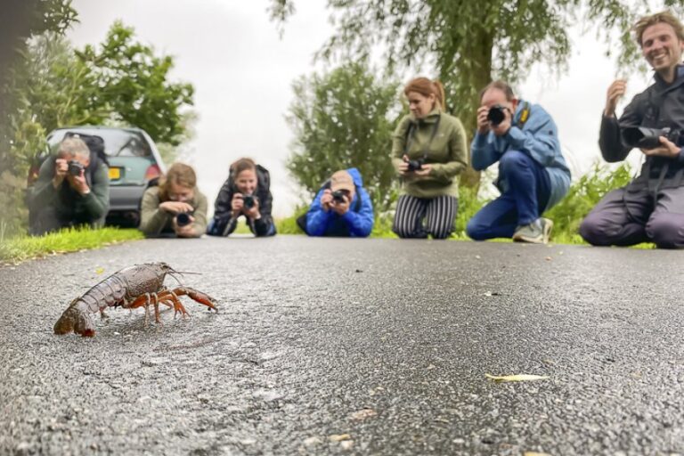 Workshop natuurfotografie in prachtig Natura 2000-gebied Zouweboezem