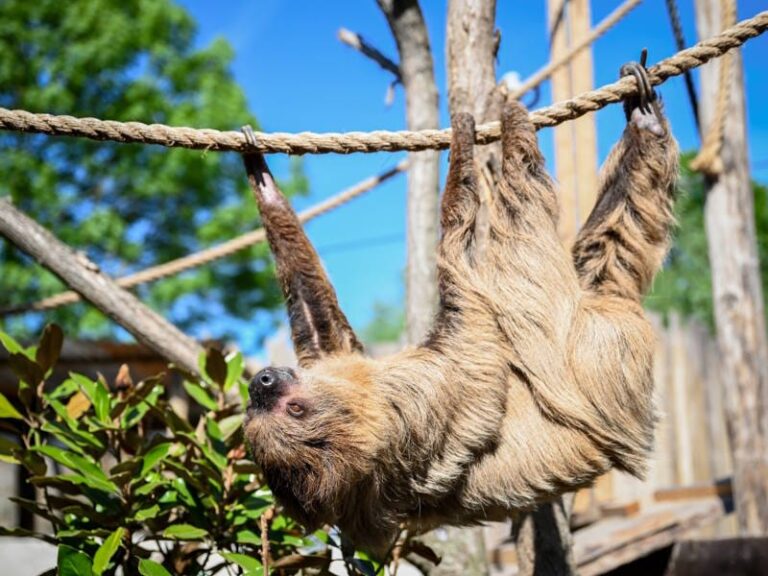 Belevingspark Hof van Eckberge